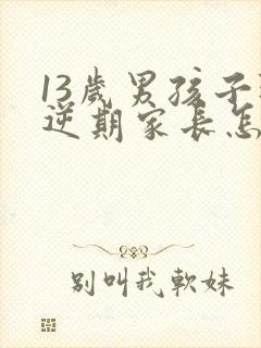 13岁男孩子叛逆期家长怎么做