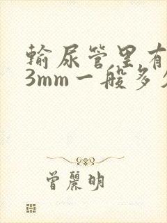 输尿管里有结石3mm一般多久排出