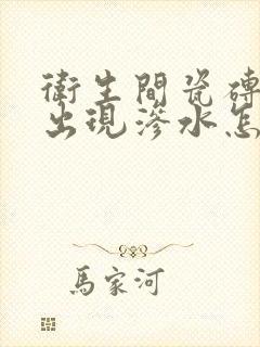 卫生间瓷砖缝隙出现渗水怎么办