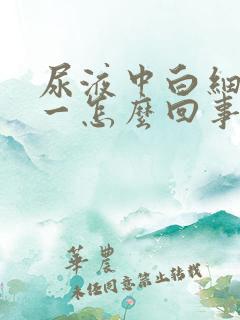 尿液中白细胞十一怎么回事