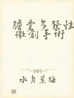 胆囊多发性结石 微创手术