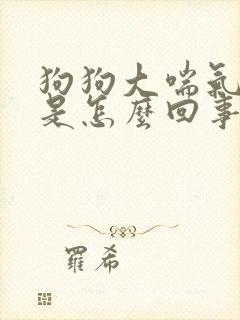 狗狗大喘气发抖是怎么回事?