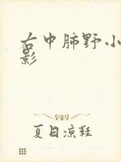 右中肺野小结节影