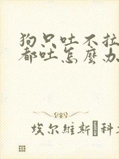 狗只吐不拉喝水都吐怎么办