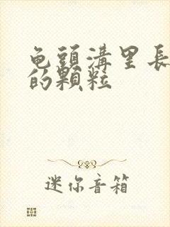 龟头沟里长白色的颗粒