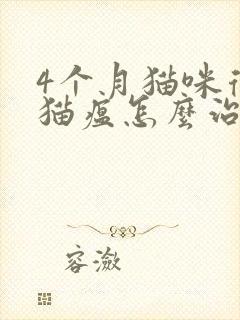 4个月猫咪得了猫瘟怎么治疗