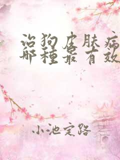 治狗皮肤病的药哪种最有效