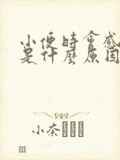 小便时会感觉痛是什么原因