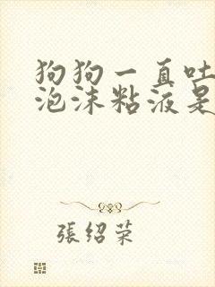 狗狗一直吐白色泡沫粘液是什么原因