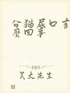 公猫尿口有血怎么回事