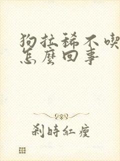 狗拉稀不吃饭是怎么回事