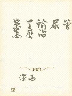 患了输尿管结石怎么治