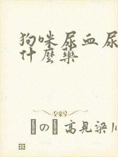 狗咪尿血尿血用什么药