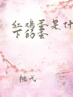 红鸡蛋是什么鸡下的蛋