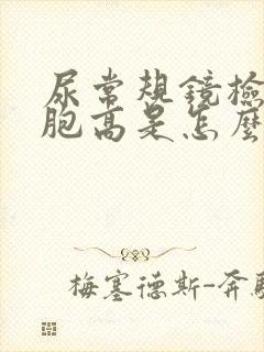 尿常规镜检白细胞高是怎么回事