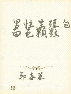 男性生殖包皮有白色颗粒