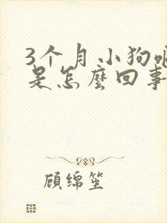 3个月小狗呕吐是怎么回事