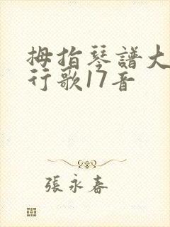 拇指琴谱大全流行歌17音