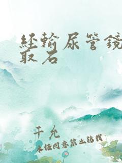 经输尿管镜碎石取石