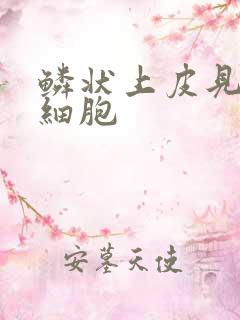 鳞状上皮见挖空细胞