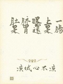 肚脐眼上一点疼是胃还是肠