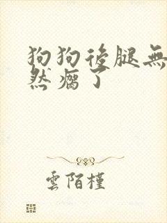 狗狗后腿无力突然瘸了