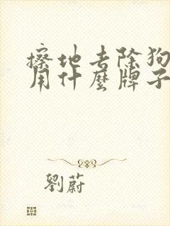 擦地去除狗尿味用什么牌子好