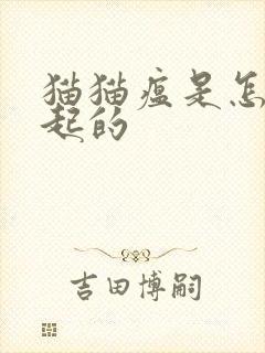 猫猫瘟是怎么引起的