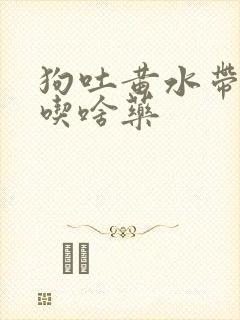 狗吐黄水带泡沫吃啥药