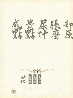 感觉尿胀却尿一点点什么原因