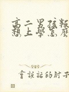 高二男孩叛逆不想上学怎么办啊