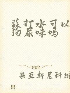 苏打水可以去除狗尿味吗