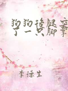 狗狗后腿突然瘸了一只脚掌不