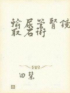 输尿管肾镜碎石取石术