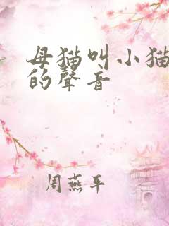 母猫叫小猫回家的声音