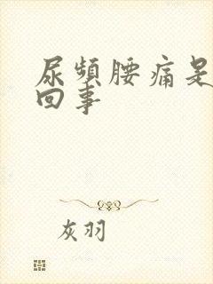 尿频腰痛是怎么回事