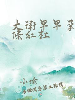 大卫早早孕试一条红杠