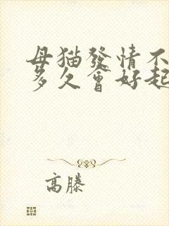 母猫发情不管它多久会好起来