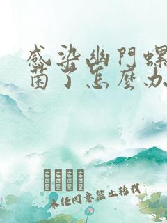 感染幽门螺旋杆菌了怎么办