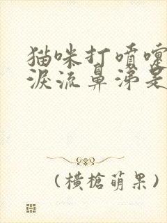 猫咪打喷嚏流眼泪流鼻涕是怎么回事