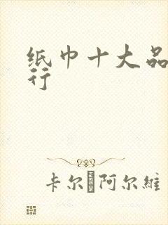 纸巾十大品牌排行