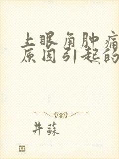 上眼角肿痛什么原因引起的