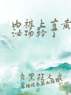 内裤上有黄色分泌物干了