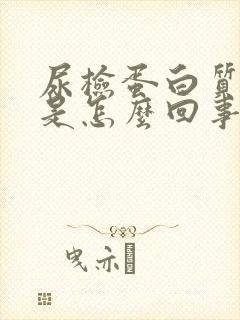 尿检蛋白质加号是怎么回事