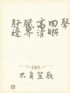 肝脏高回声结节边界清晰