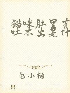 猫咪肚里有毛球吐不出是什么症状