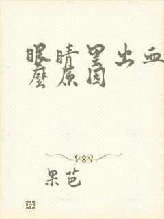 眼睛里出血是什么原因