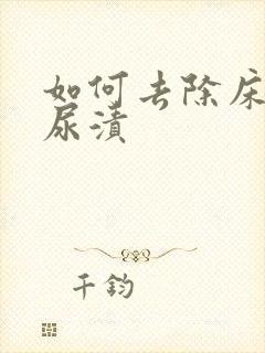 如何去除床垫的尿渍