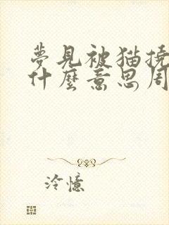 梦见被猫挠了是什么意思周公解梦