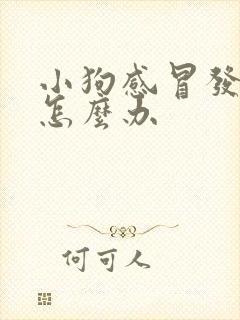 小狗感冒发烧了怎么办